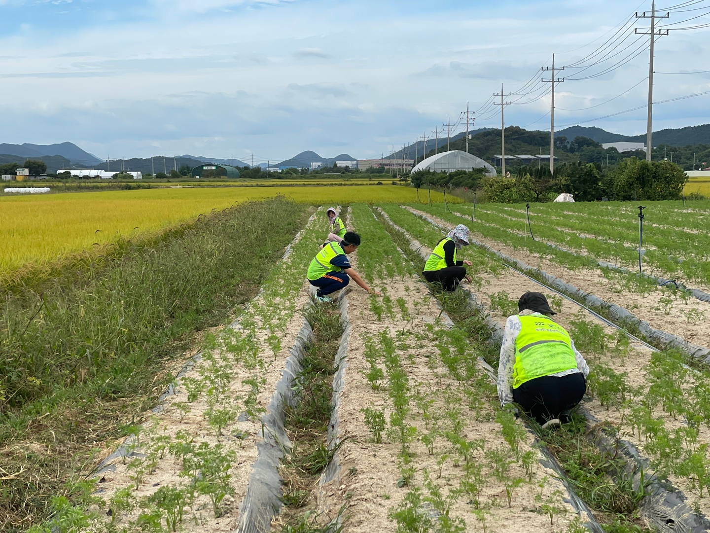 KakaoTalk_20260918_091557578_15.jpg